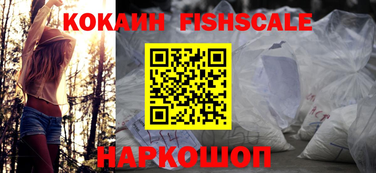 наркошоп  Кокаин Fish Scale  Братск  Cocaine FishScale  COCAIN 