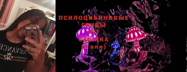 винт Ладушкин