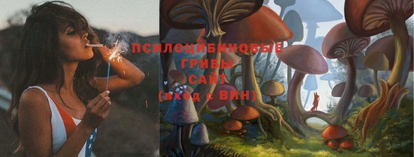 тгк Липки