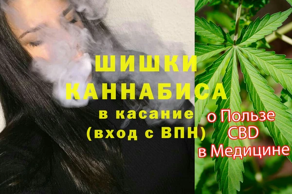 винт Ладушкин