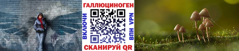 Галлюциногенные грибы Magic Shrooms  Братск 