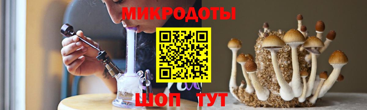 Братск  Галлюциногенные грибы прущие грибы  Вход с VPN 