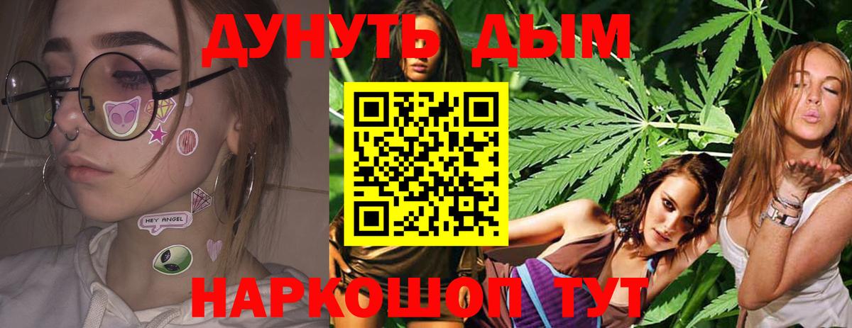 Каннабис план  Братск  Канабис OG Kush  Конопля THC 21% 